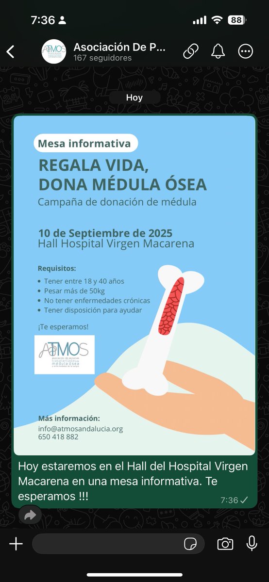 Asociación personas trasplantadas de médula Ósea tweet media