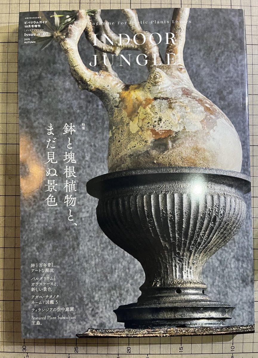 INDOOR JUNGLE 07
が入荷しました！