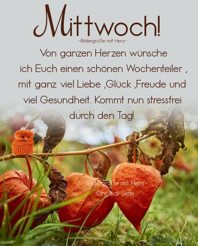 Einen wunderschönen guten Morgen liebe Zwitschervögel. Ich wünsche euch allen einen schönen Tag und ein schönes Bergfest. 💚🌞🫶Frühstück ist gleich fertig. Wer möchte? Outfit ist egal.😉Passt gut auf euch auf. Fühlt euch gedrückt. 🫂 Bis später ihr Lieben. 👋 ❤️💚🫶😘