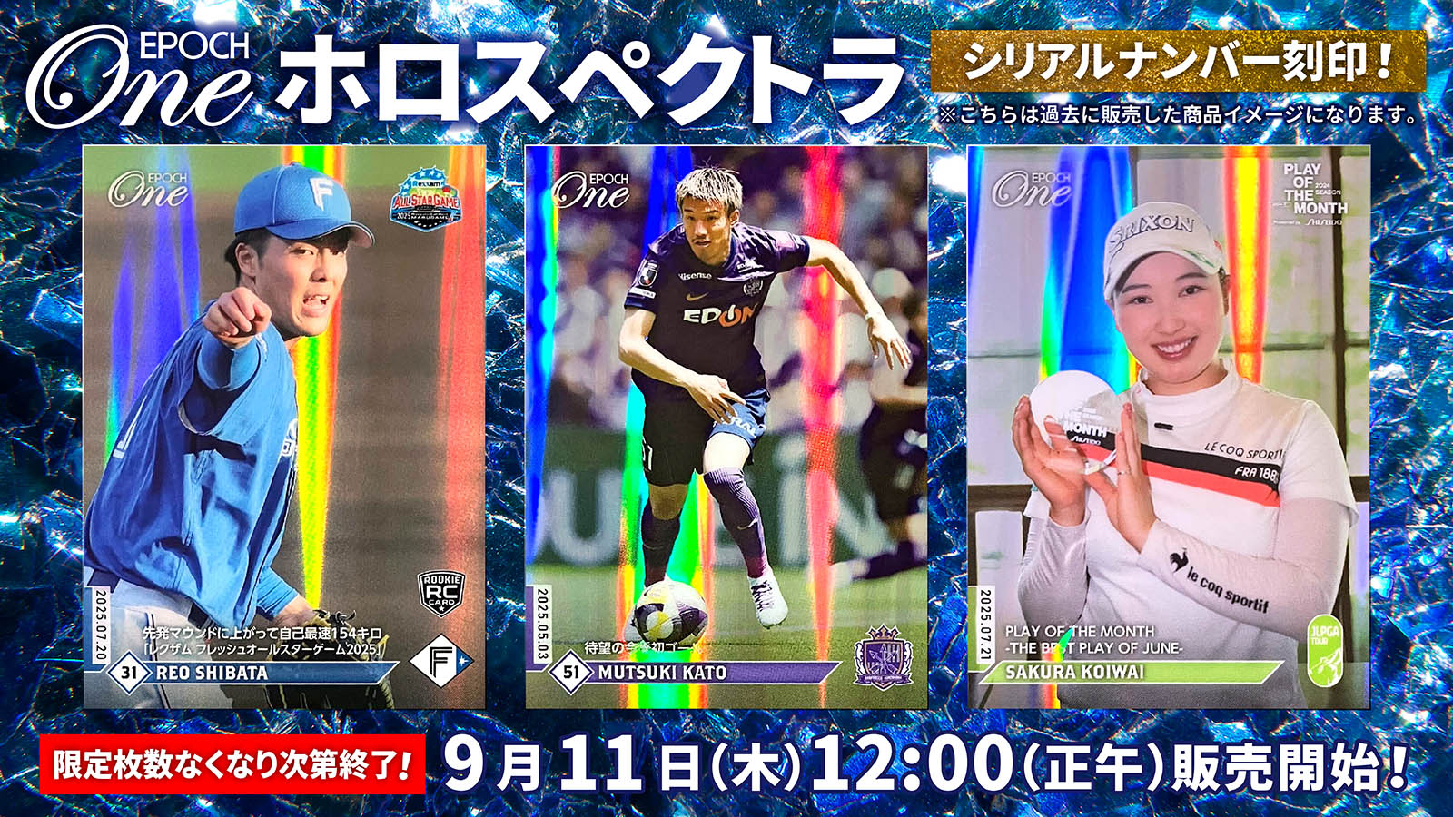 エポック社トレーディングカード【公式】 on X: 