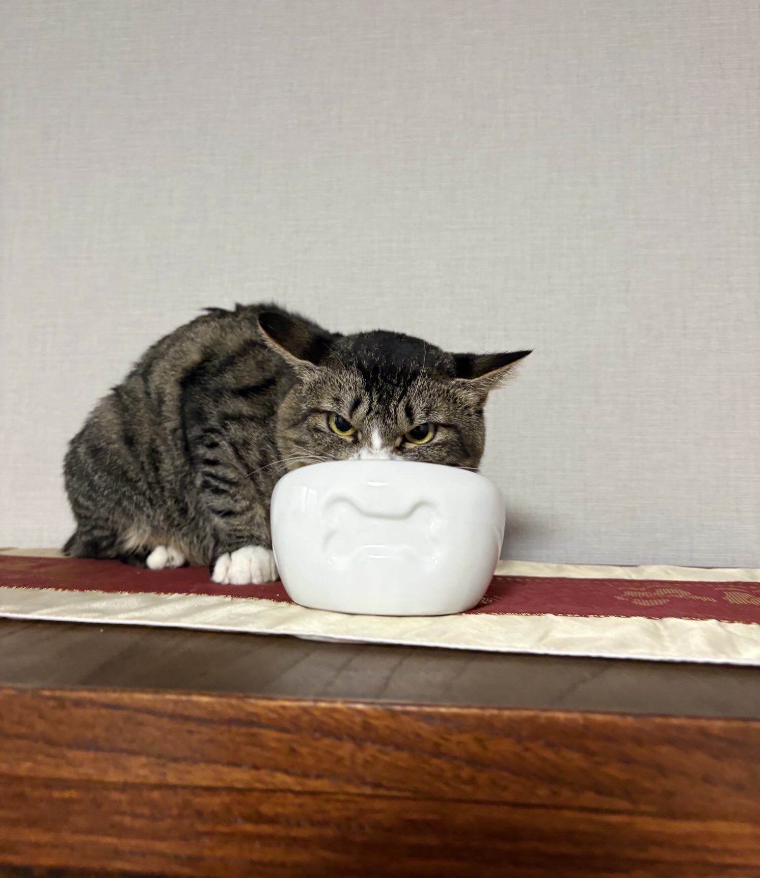 ちび猫※プロフ全文必読※2510W1 ちび猫※プロフ全文必読※2510W1 ちび猫※プロフ全文必読※様