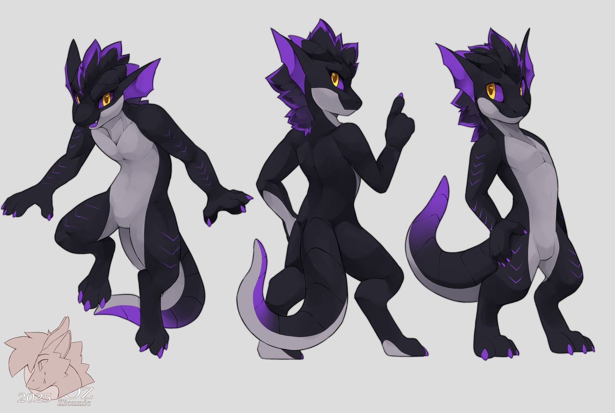 Commission Finished ~