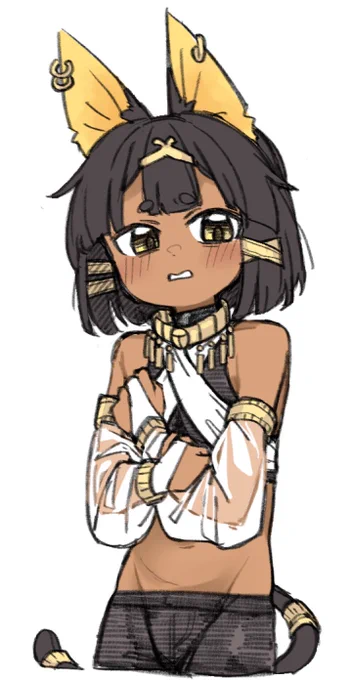 せっかくなのでちゃんとしたの(ちゃんとしたのとは)