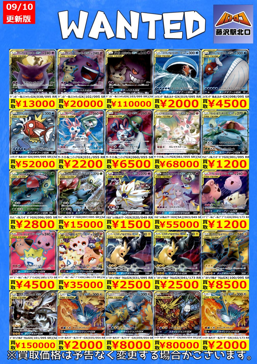 ゲンガー&ミミッキュ ファイヤー&サンダー&フリーザー レシラム