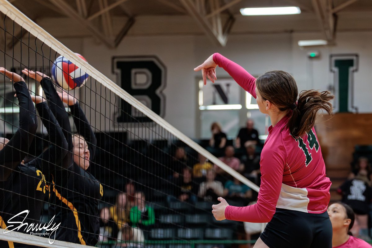 ShawleyPhoto tweet media