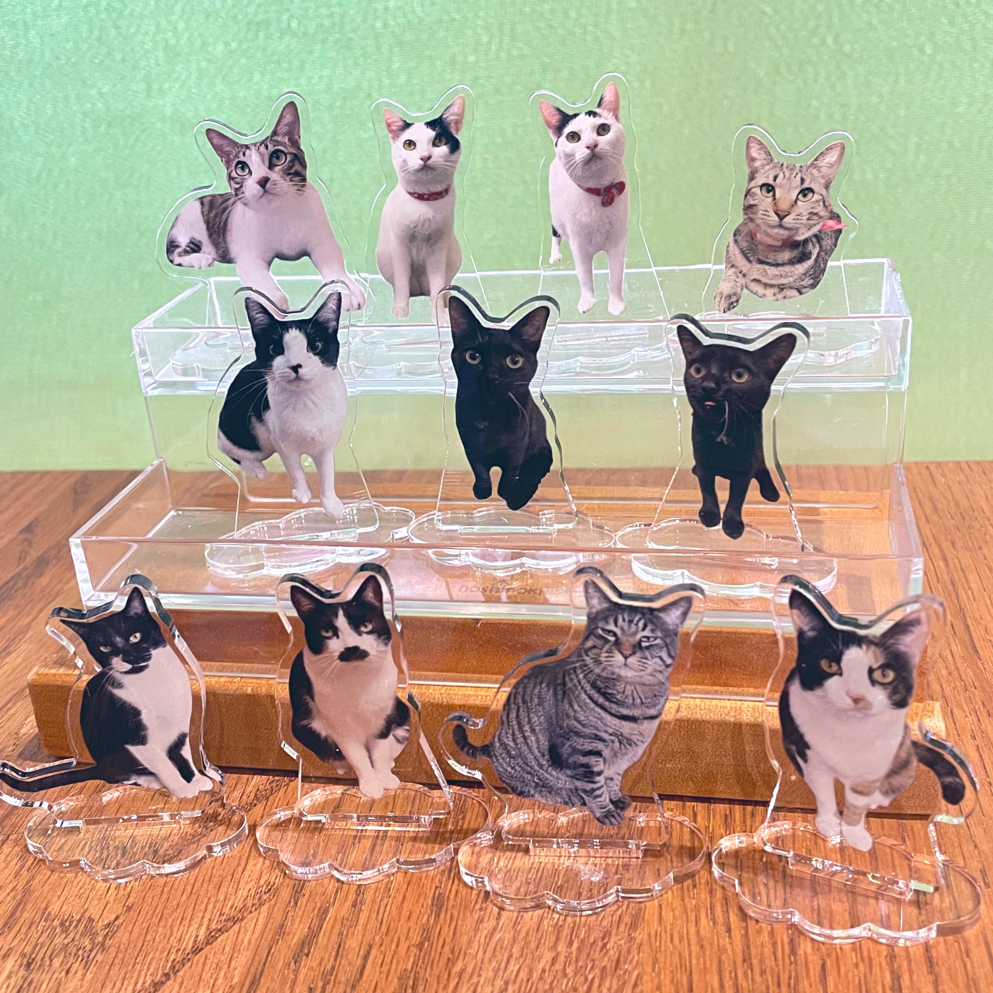 イコラブ　ラッフル　アクスタ　猫 LOVE イコラブ 髙松瞳 猫衣装 アクスタ アクリルスタンド - メルカリ