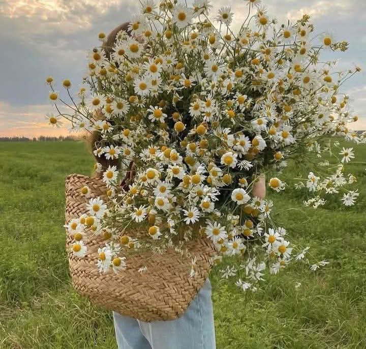 لا يمكنك أن ترى صورتك في الماء وهو يغلي ، كذلك لا يمكن أن ترى الحقيقة وأنت غاضب 
دائماً أنتظر أن تهدأ ثم قرر ما تفعله