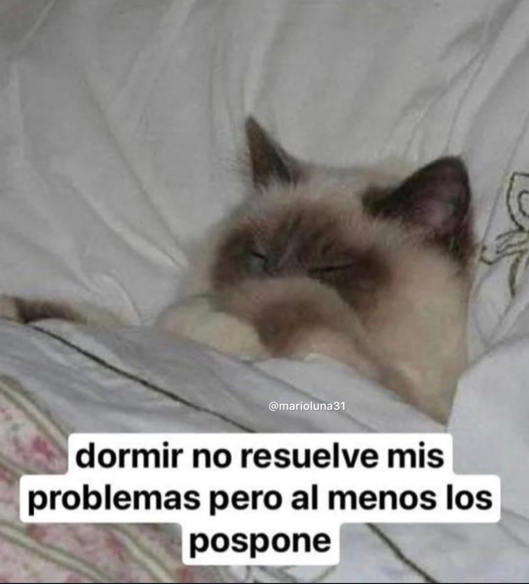 Víctor Esparza (@soyelvick_) on Twitter photo 