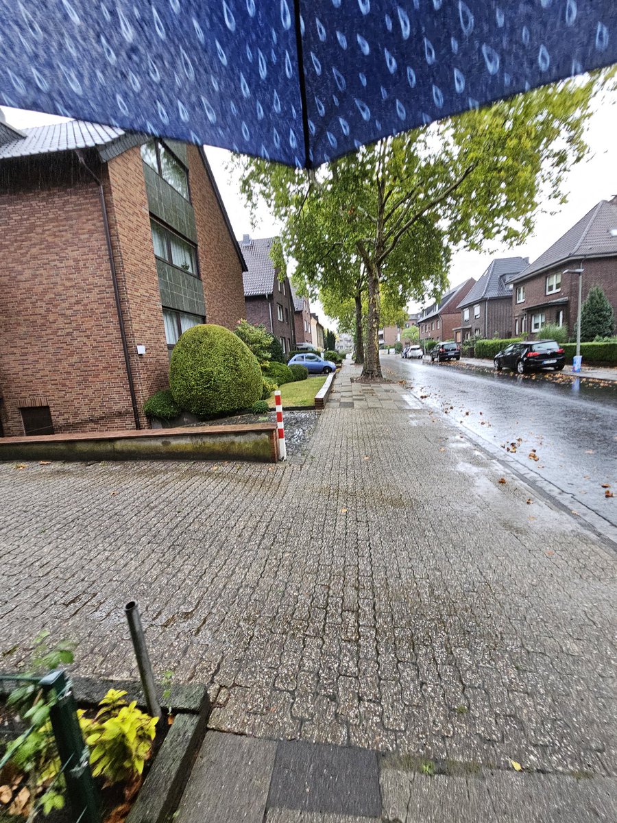 Gmabs!

Rainy day drop off vibes
