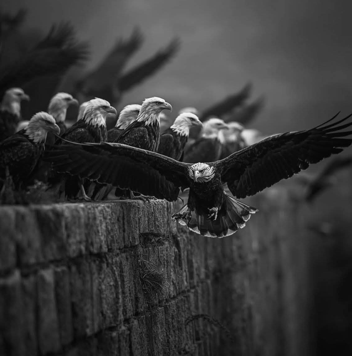 لا تكن خياراً أبداً كن الأولوية أو كن وحيداً..🖤🥀