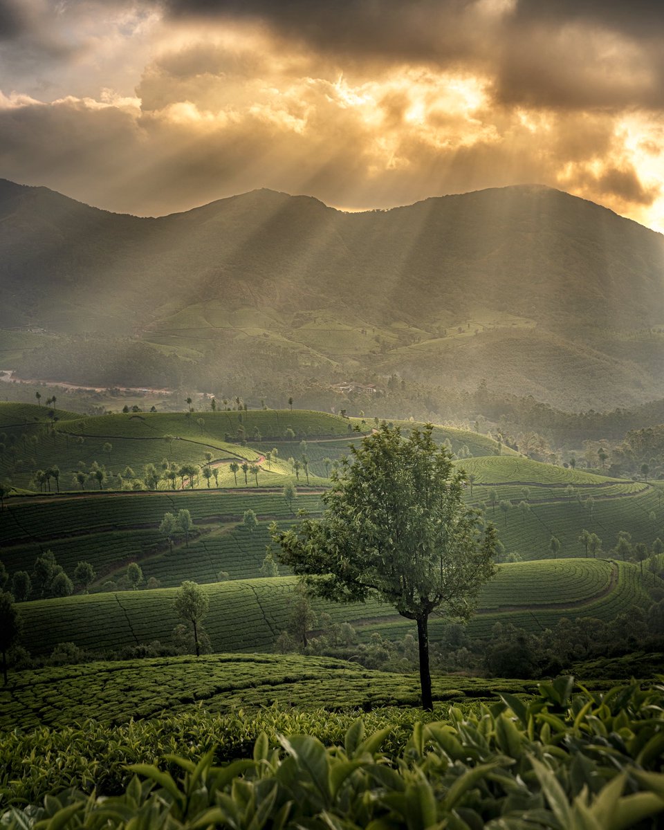 Images I shot of Western Ghats of India