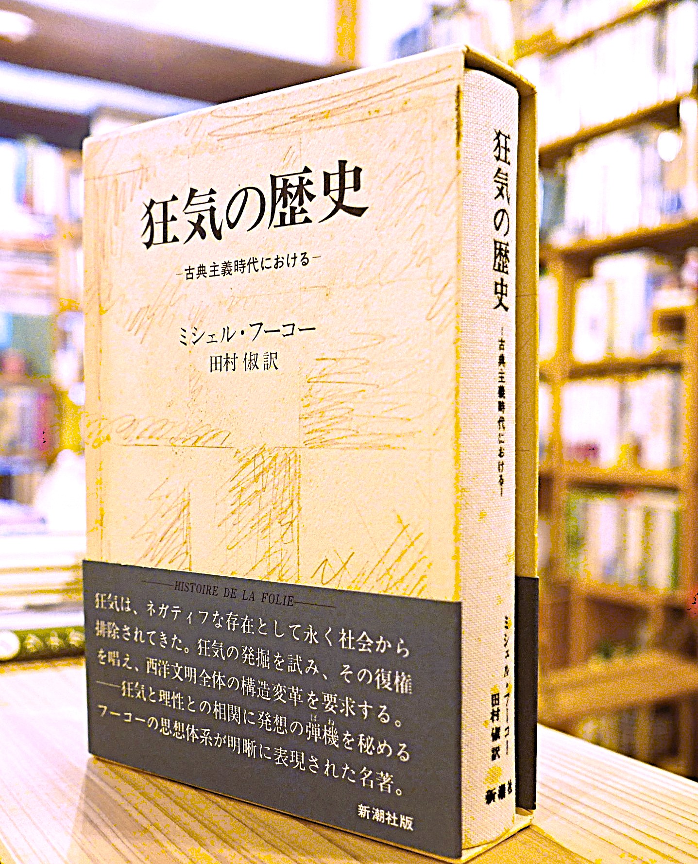 ミシェル・フーコー 3冊セット 言葉と物、狂気の歴史、監獄の誕生