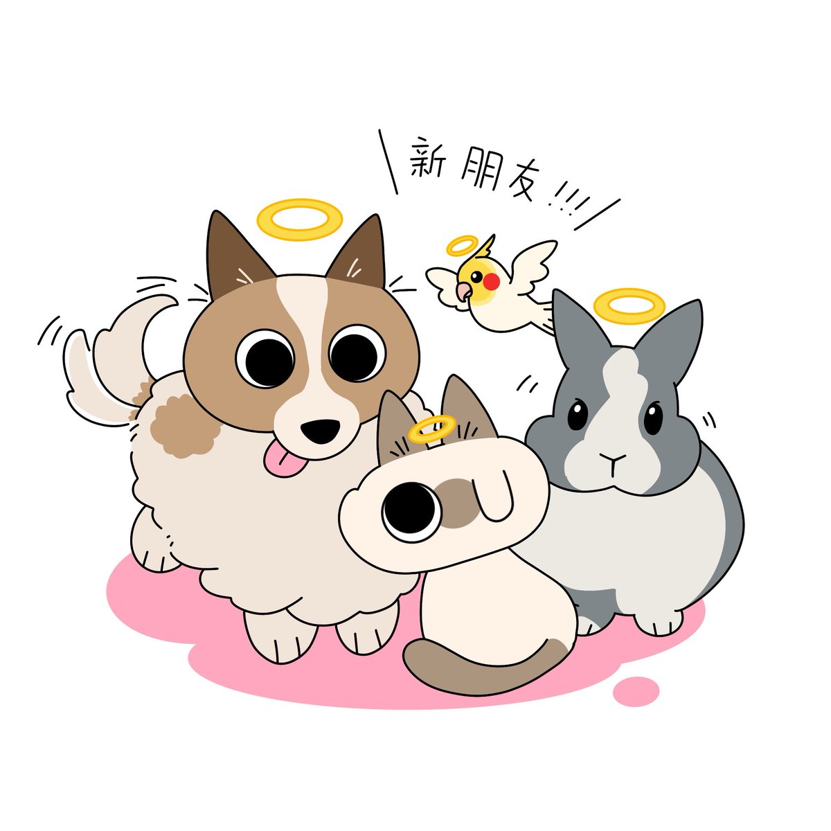 狗狗、小吉和小鸟会成为小豆泥的新朋友哦，小豆泥不会孤单💕 #シャム猫あずきさんは世界の中心