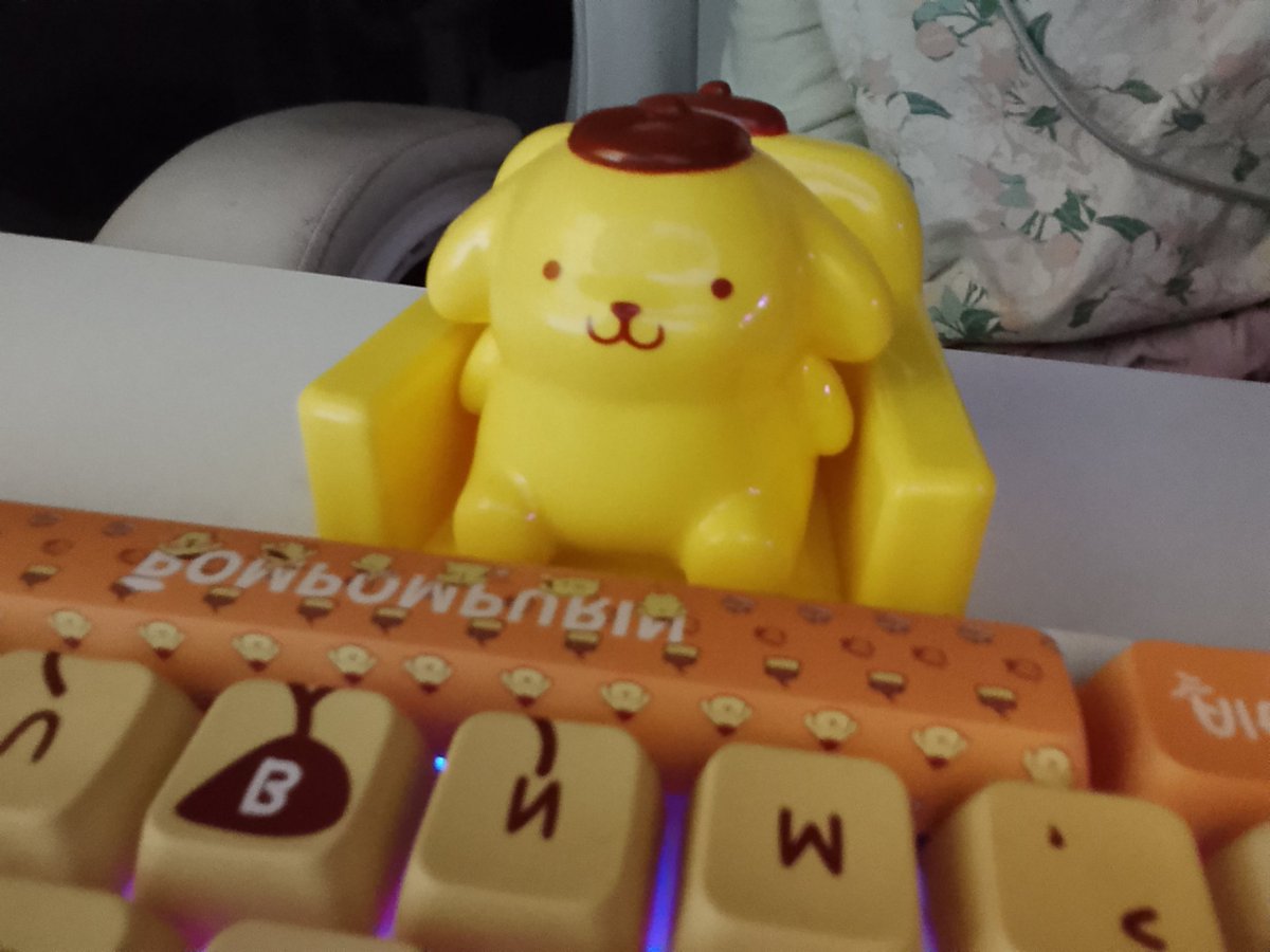 buckyapper's tweet image. this is how i look When i tweet