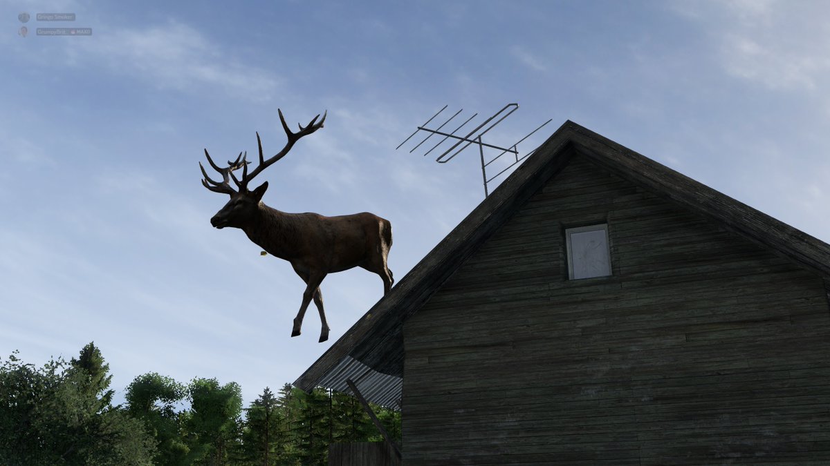LIVE and winging it 

twitch.tv/Gringo_smoker 
and 1440p on youtube.com/@gsmoker 

#1440p #dayz #live