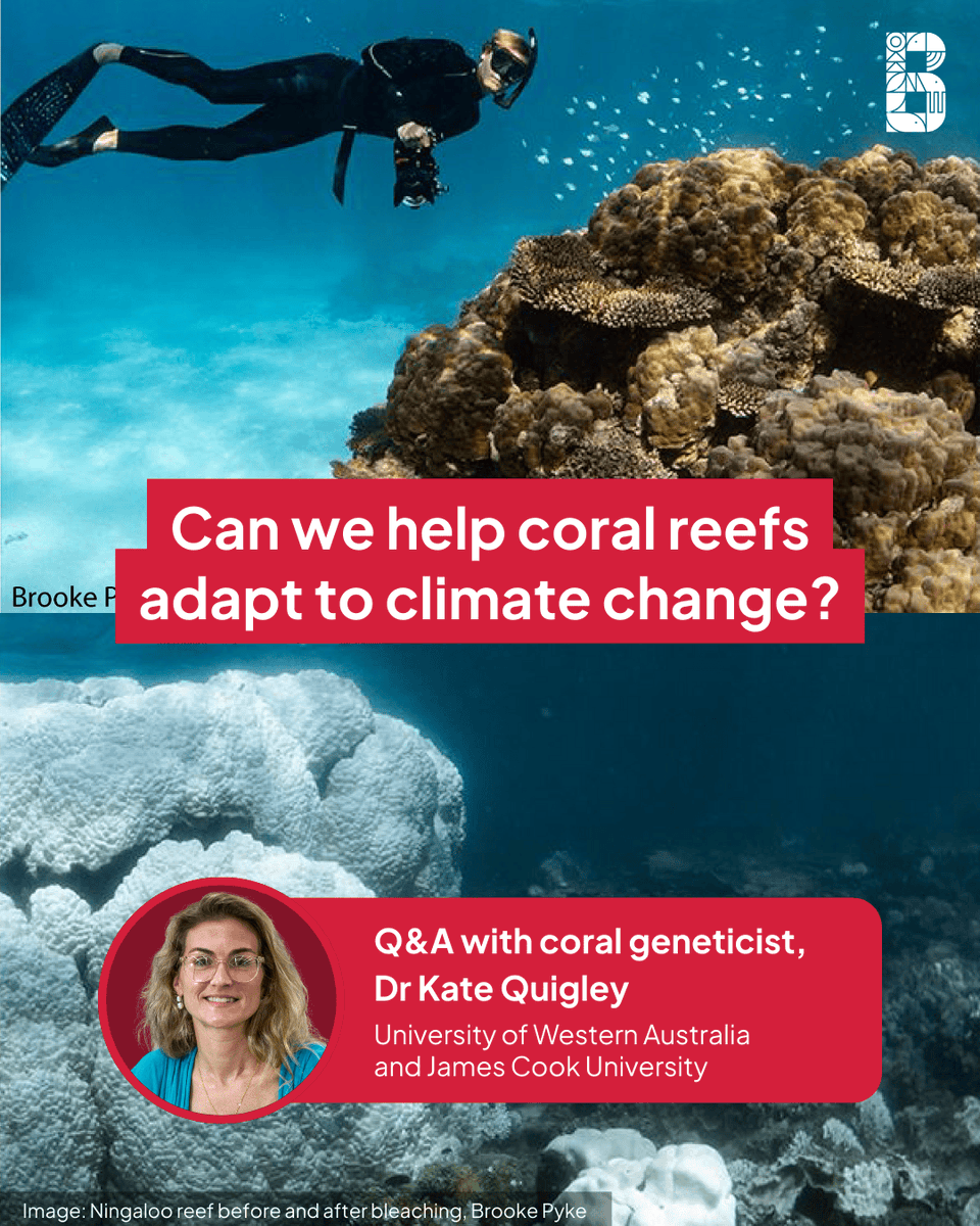 Biodiversity Council tweet media