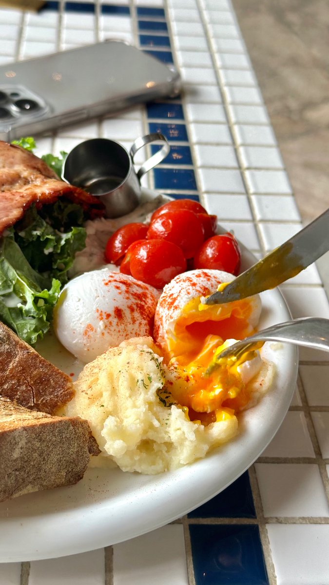 🪴🌎 tweet media