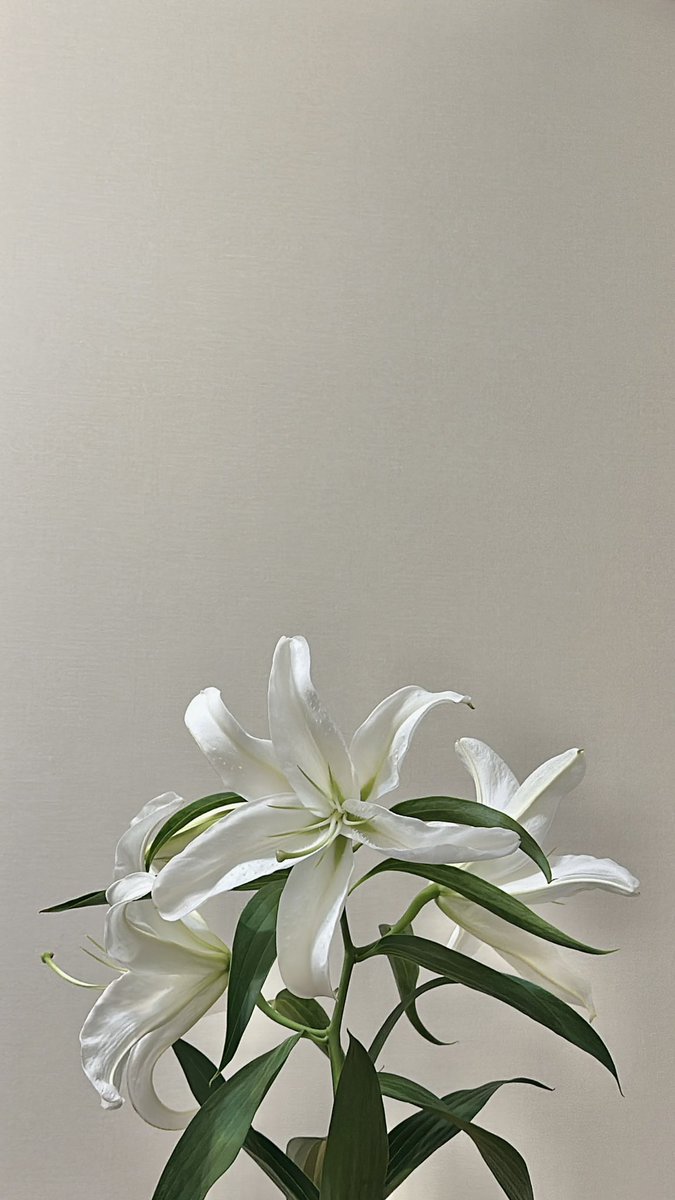 🪴🌎 tweet media