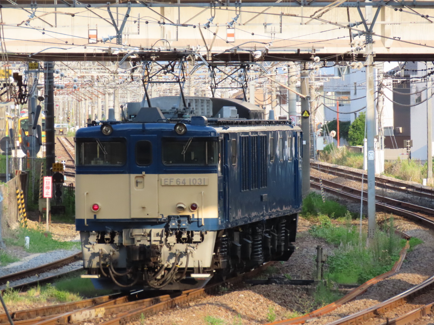 御成約　[3135] Amazon | [CO-COS] [ジプロア] ZIPLOA アンゼンスニーカー HZ