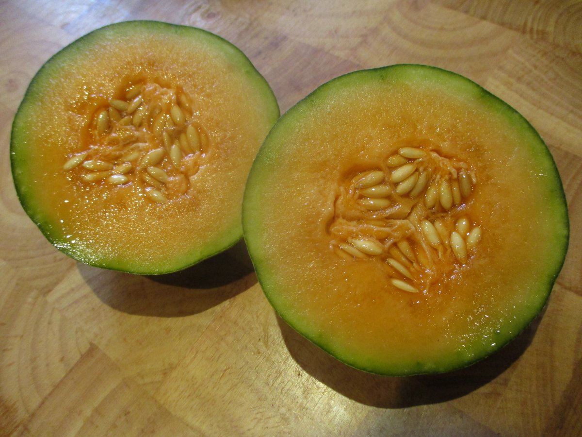 Nicky Kyle Gardening tweet media