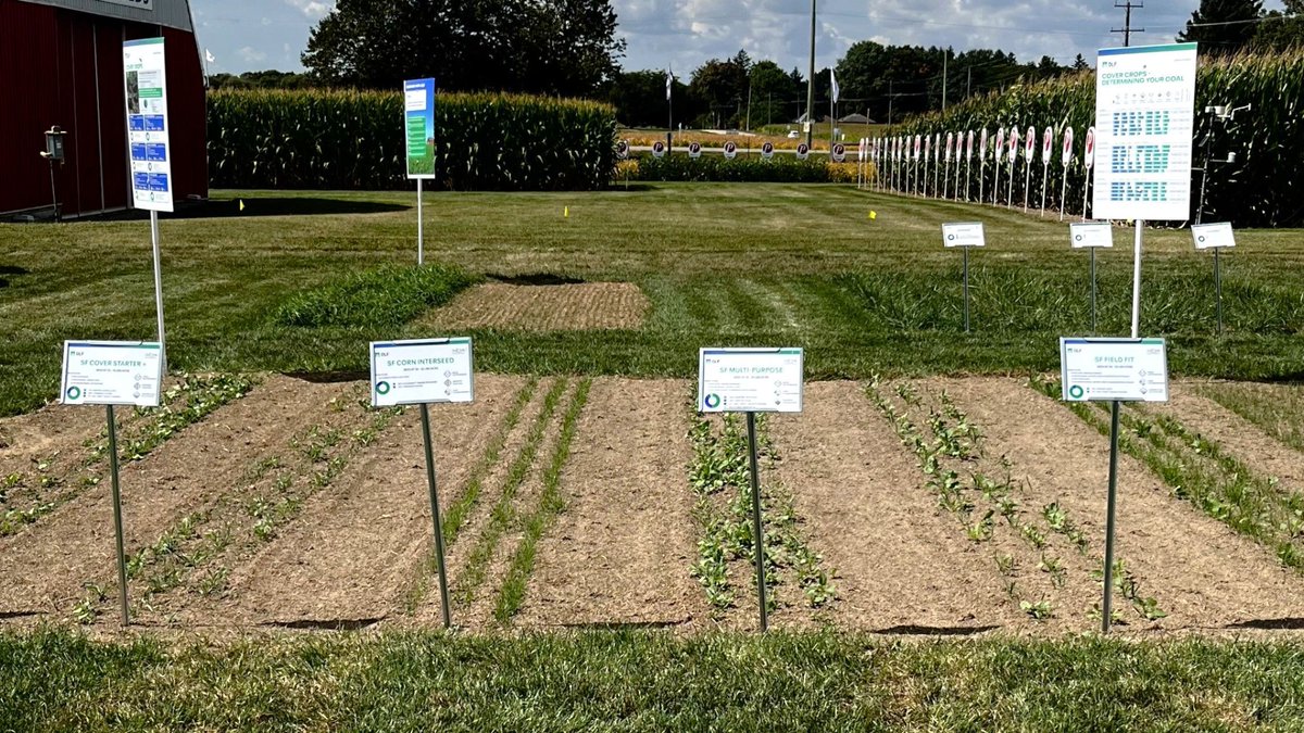 Visit booth N-B at the @OutdoorFarmShow to check out our Soil First® mixes—great tools for recovering forage and improving soil health after a challenging growing season. 🌱 

Learn more:
buff.ly/Muxl6Gm (EN)
buff.ly/5pfNvuu (FR)

 #COFS25 #SoilFirst #CoverCrops