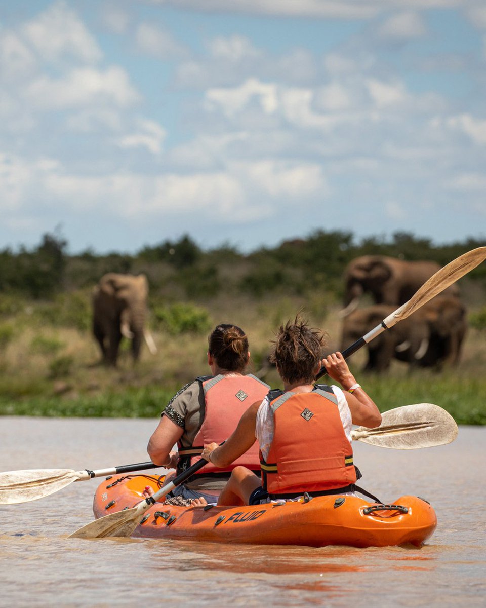 🚣‍♂️ PADDLE INTO THE WILD‼️🌿 
A <a href="/magicalkenya/">Kenya Tourism Board</a> Signature Experience awaits — where kayaking brings you eye-level with elephants as they drink, bathe, and swim. 🐘✨ 

#MagicalKenya #MugieConservancy #EkorianMugieCamp #KayakingWithElephants #MagicalKenya