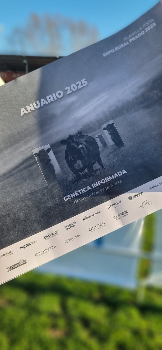 HOY DIA DE JURA DE MACHOS EN LA EXPOPRADO 2025!!

<a href="/AngusUruguay/">Angus Uruguay</a>