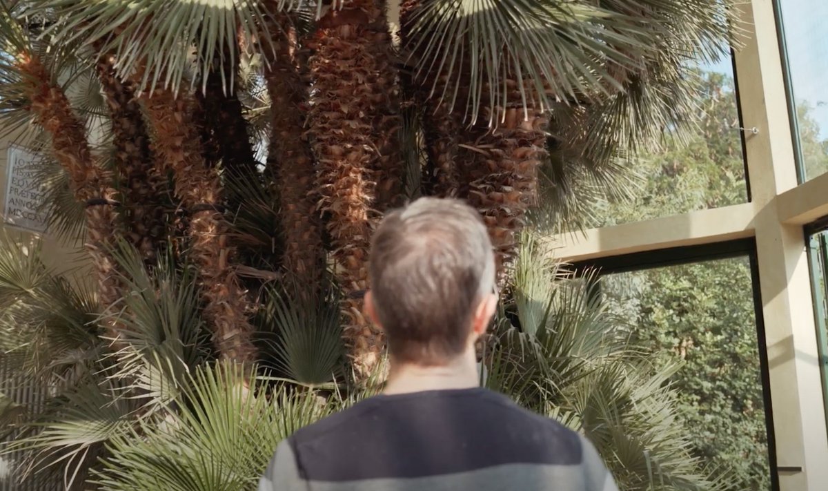 Università di Padova tweet media