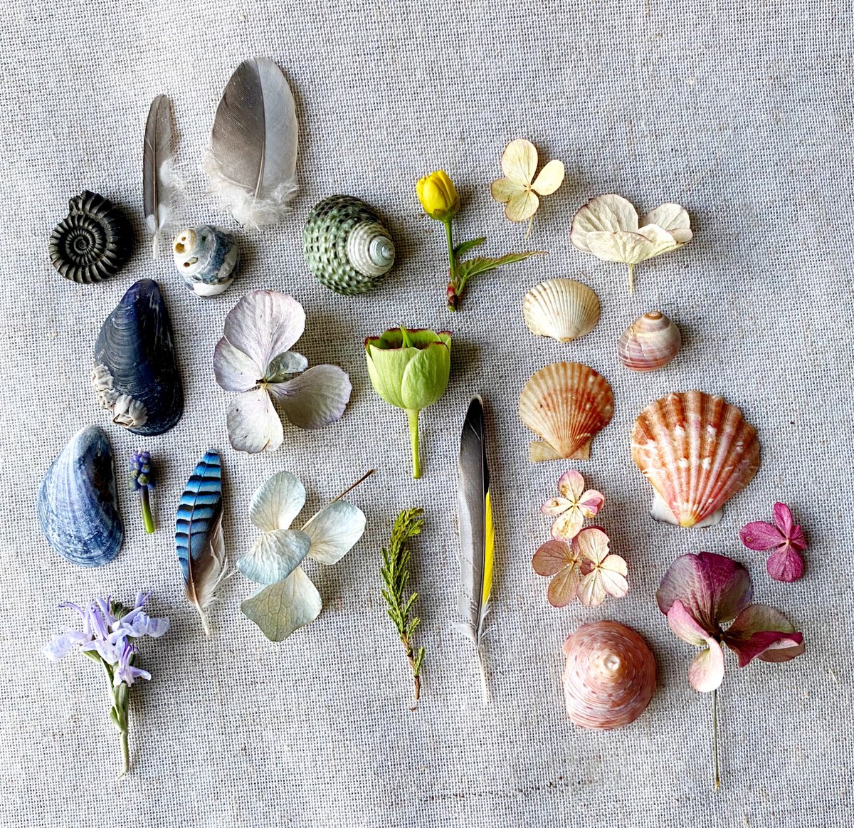 silverpebble's tweet image. I'll be closing my Etsy shop at 10pm tonight to package up orders. It's your last chance to order sets of my botanical &amp;amp; nature collection greetings cards before November.
I design my photos using recent neuroscientific research so they shift your brain away from anxiety when you…