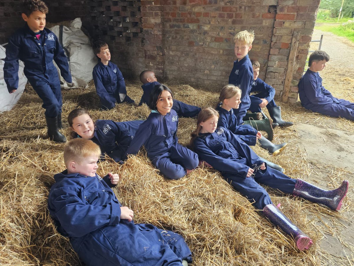 Focus Trust tweet media