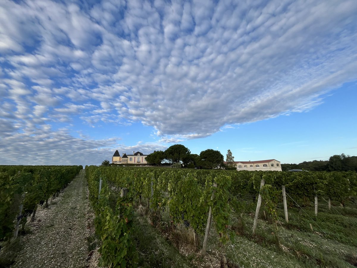 Chateau de France (@cfpessacleognan) on Twitter photo 