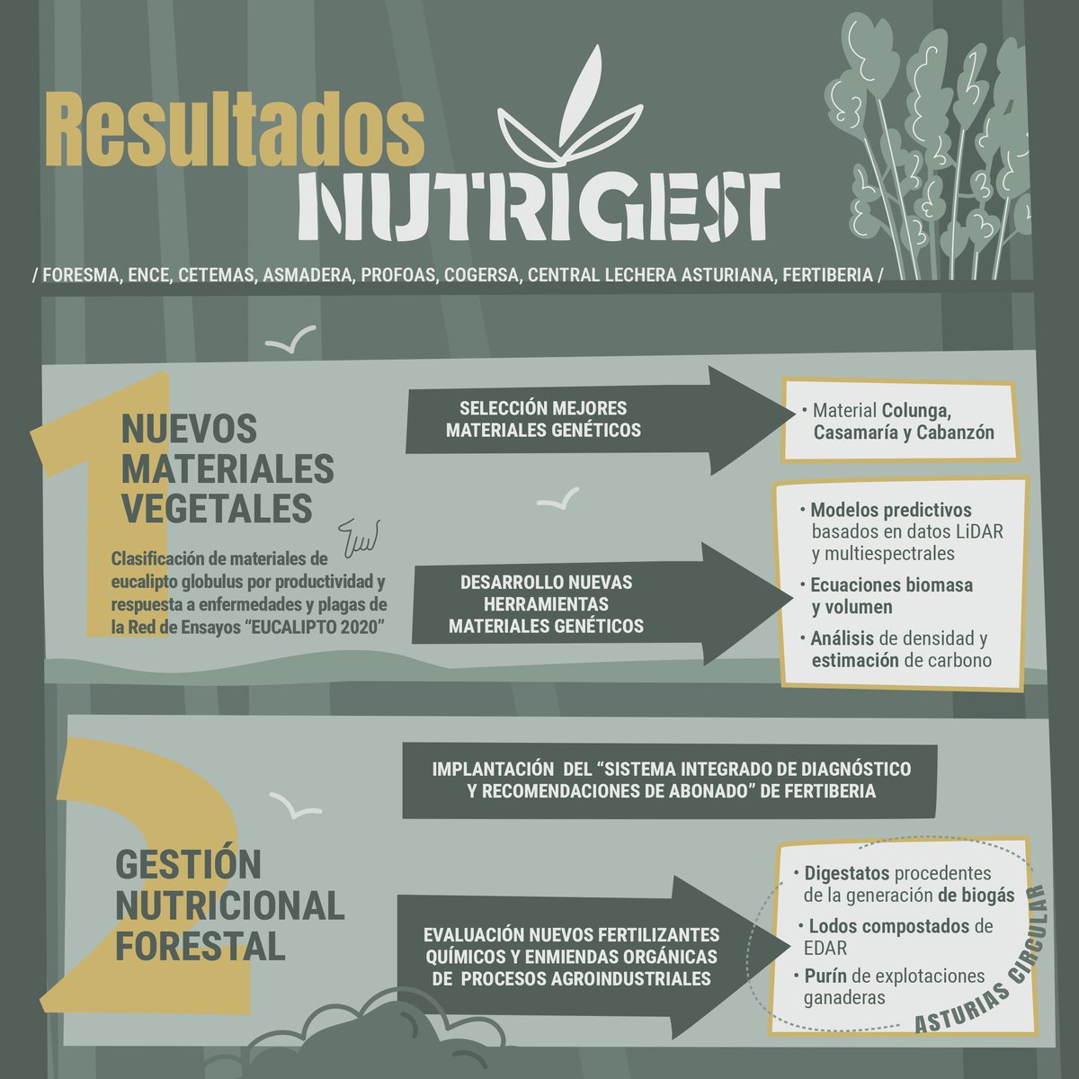 Os dejamos esta infografía donde se resumen los resultados de nuestro proyecto #NUTRIGEST
#sostenibilidad #innovación #eucalipto

🧩<a href="/CETEMAS/">Fundación CETEMAS</a> <a href="/Asmadera_/">Asmadera</a> <a href="/profoas/">Propietarios Forestales de Asturias</a> <a href="/Grupo_Ence/">Ence</a> <a href="/grupofertiberia/">Grupo Fertiberia</a> <a href="/cogersaasturias/">Cogersa</a> <a href="/LecheAsturiana/">Central Lechera Asturiana</a> 

💸<a href="/redespanola/">REDR</a> <a href="/GobAsturias/">Principado de Asturias</a> <a href="/MRuralAsturias/">Consejería Medio Rural y Política Agraria</a>