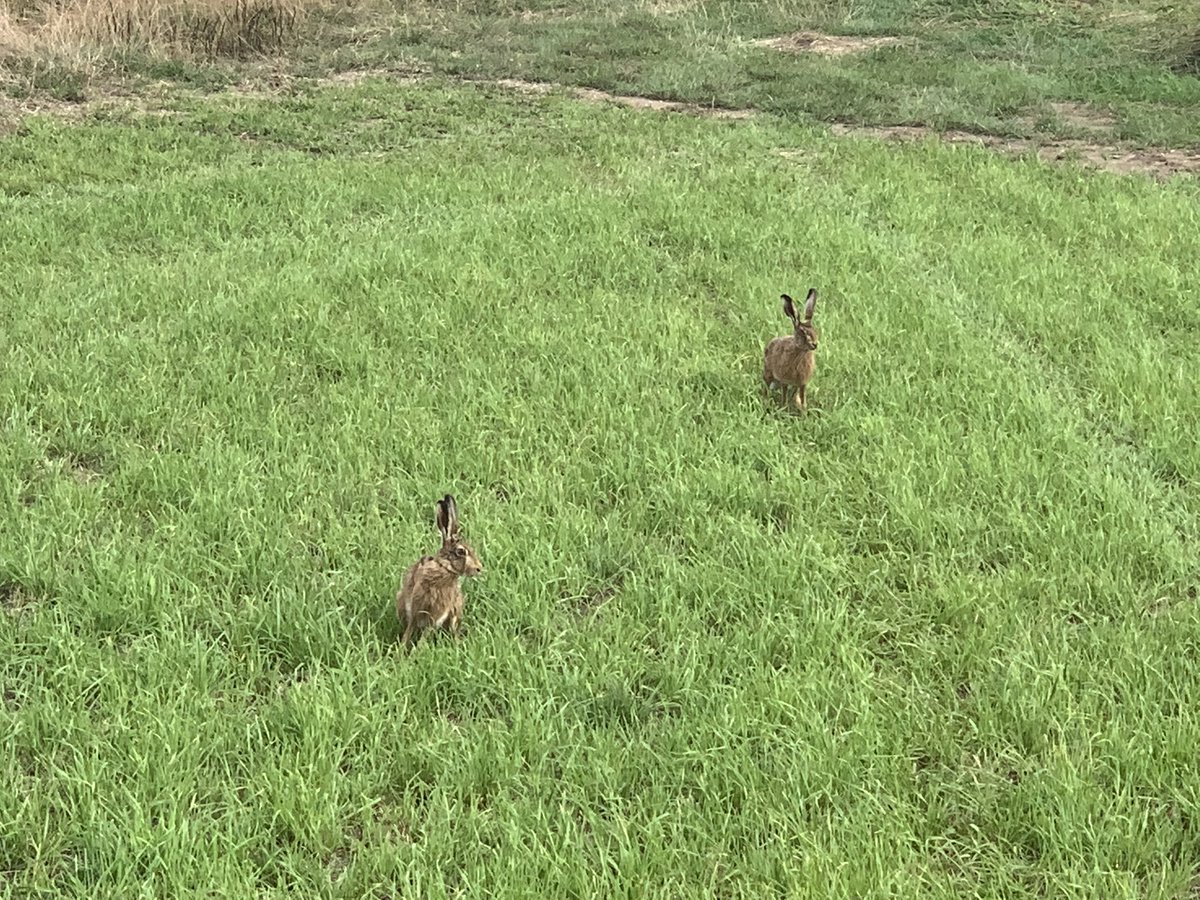CharlesAnyan's tweet photo. Happy #BackBritishFarmingDay to you all ๐ฌ๐ง๐ฌ๐ง
Here in #Springthorpe we try and balance food production with the environment. We donโt always succeed but we give it a try ๐ช https://t.co/wYLsqyYgOn