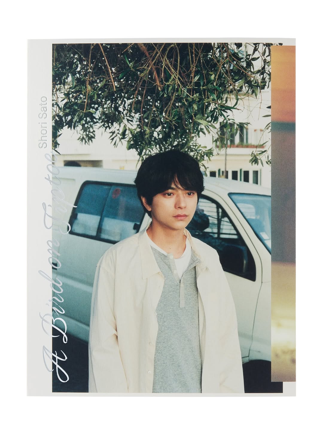 原嘉孝 / Hara Yoshitaka (@timelesz_hara) / X