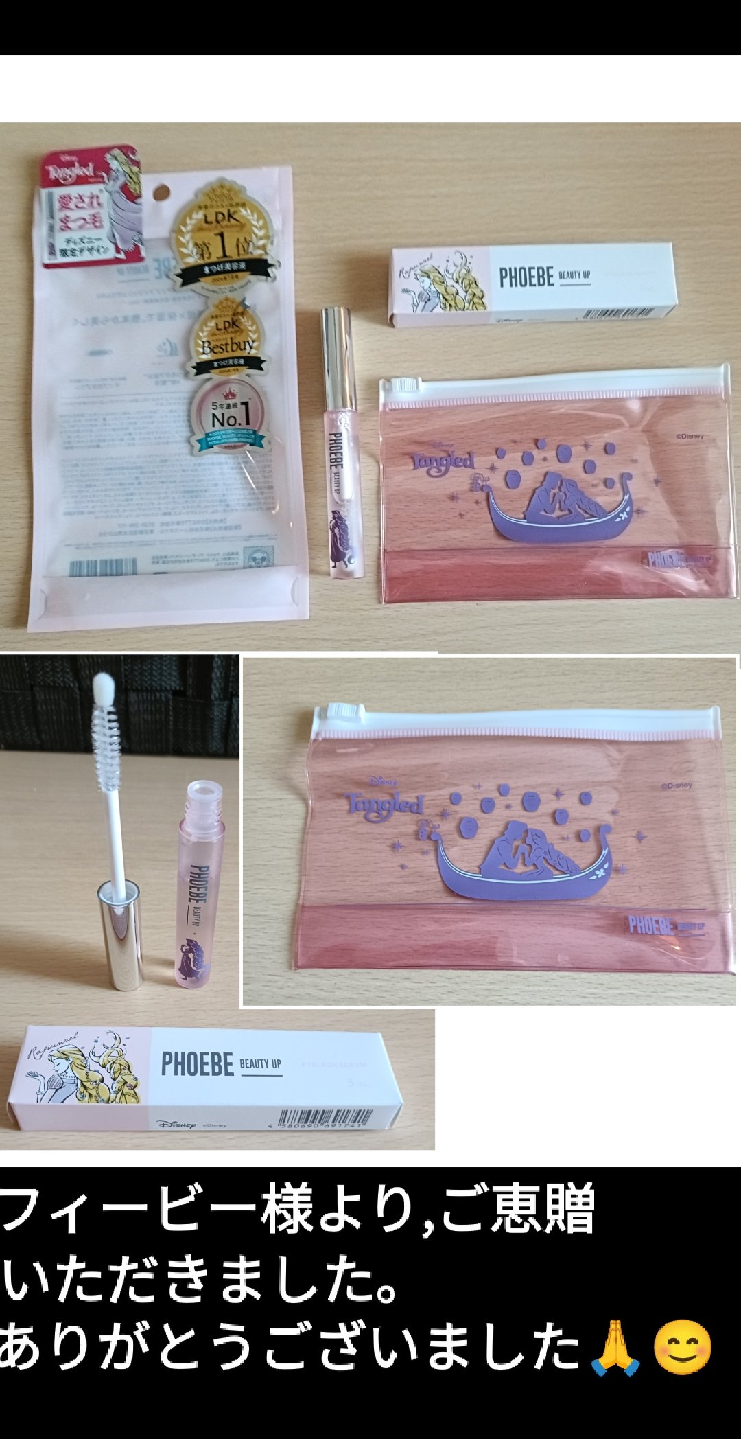 【TDRファン必見/非売品】PASS on the DREAM TDRファン必見/非売品】PASS on the DREAM