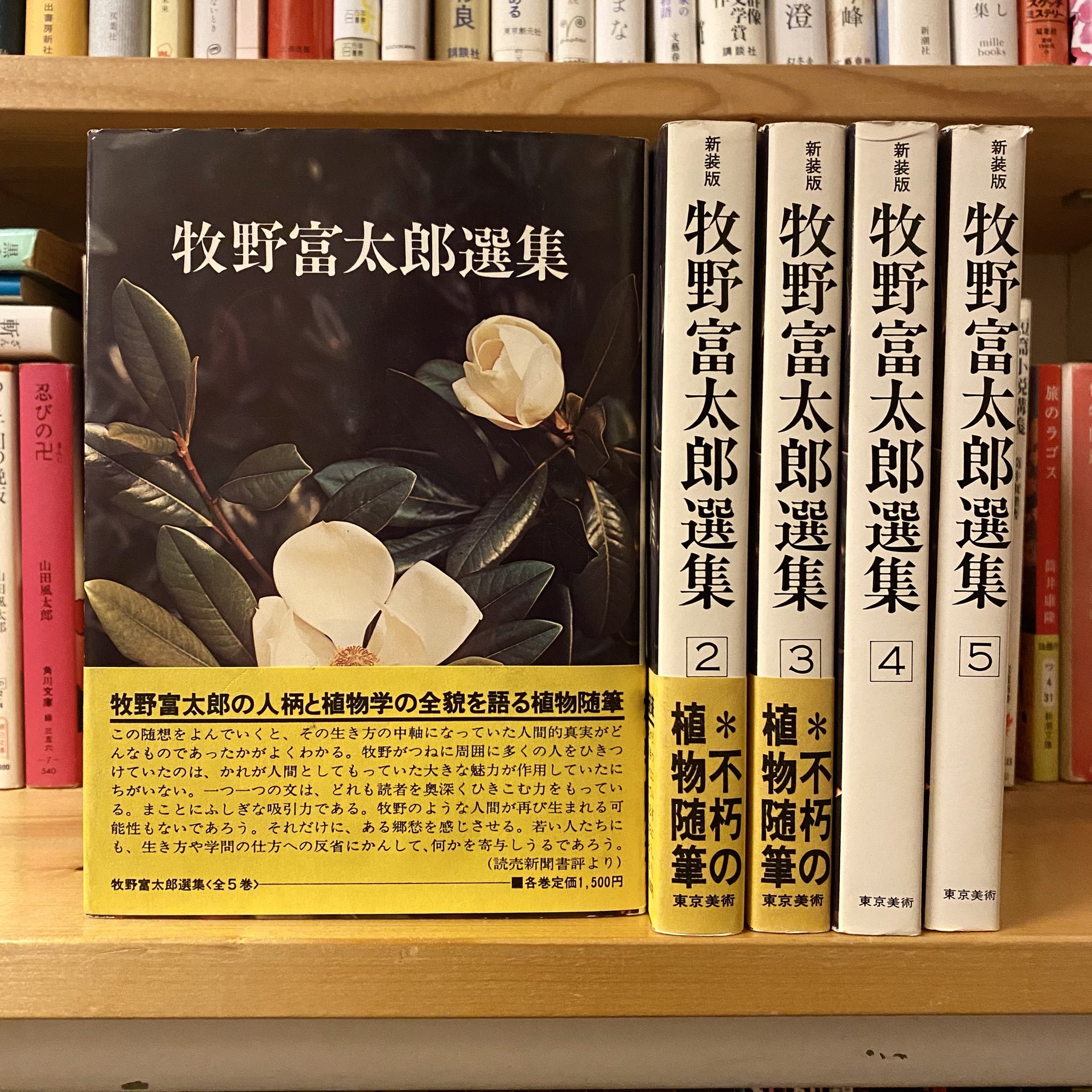 【中古】 牧野富太郎植物記 ６/あかね書房/牧野富太郎 中古】 牧野富太郎植物記 6/あかね書房/牧野富太郎