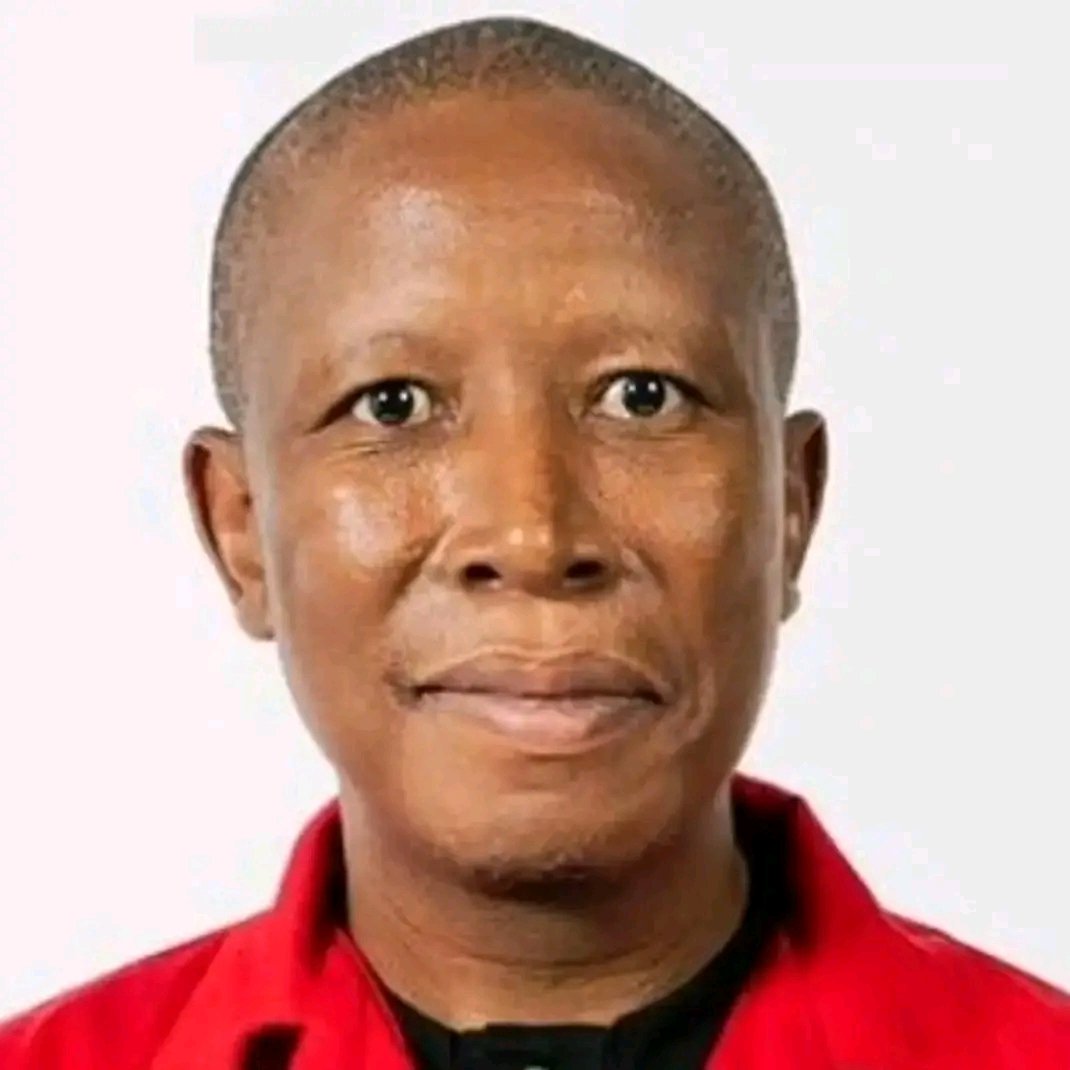 EFF pushes for total ban on alcohol advertising in South Africa

The Economic Freedom Fighters (EFF) has proposed a Private Member’s Bill to amend the Liquor Act of 2003, aiming for a total ban on alcohol advertising, promotion, and sponsorship across all media. 

The bill,