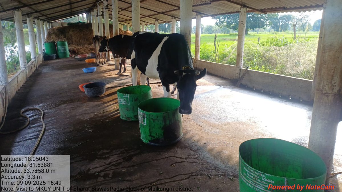 ମାଲକାନଗିରି ଜିଲ୍ଲା କାଲିମେଳା ବ୍ଲକରେ ବାଲଗୋପାଳ ଟ୍ରେଡର୍ସ ଦ୍ବାରା ମୁଖ୍ୟମନ୍ତ୍ରୀ କୃଷି ଉଦ୍ୟୋଗ ଯୋଜନାରେ ନିର୍ମିତ ମତ୍ସ୍ୟ ଦାନା କେନ୍ଦ୍ର ଏବଂ ପଡ଼ିଆ ବ୍ଲକ ଅଞ୍ଚଳରେ ଏକ ଡାଏରୀ ଫାର୍ମକୁ ଯାଇ ଏମଡି, ଆପିକଲ୍ ଓ ବରିଷ୍ଠ ଅଧିକାରୀଗଣ ଅନୁଧ୍ୟାନ କରିଛନ୍ତି

<a href="/CMO_Odisha/">CMO Odisha</a> <a href="/GokulanandaBJP/">GOKULANANDA MALLICK</a> <a href="/farddepartment/">Fisheries & ARD Department</a> <a href="/OMFEDofficial/">Omfed Official</a>