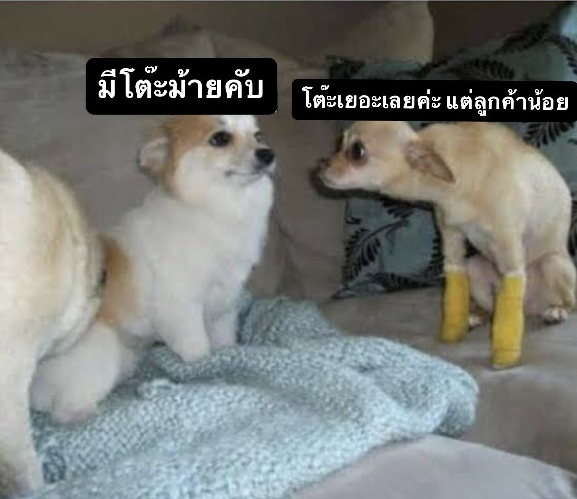 นกนิ้ม🐣 ft. ตามหาพรีเมี่ยมวายใน📍 (@pimnok2124) on Twitter photo 