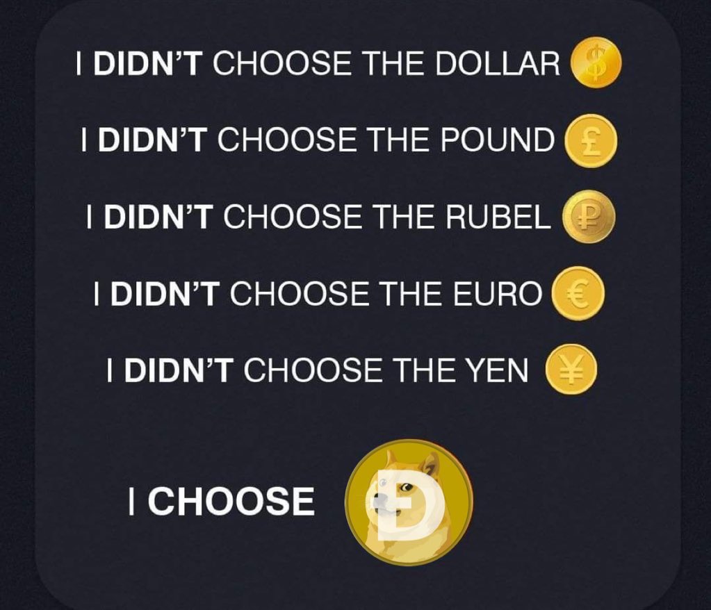 Sir Doge of the Coin ⚔️ tweet media