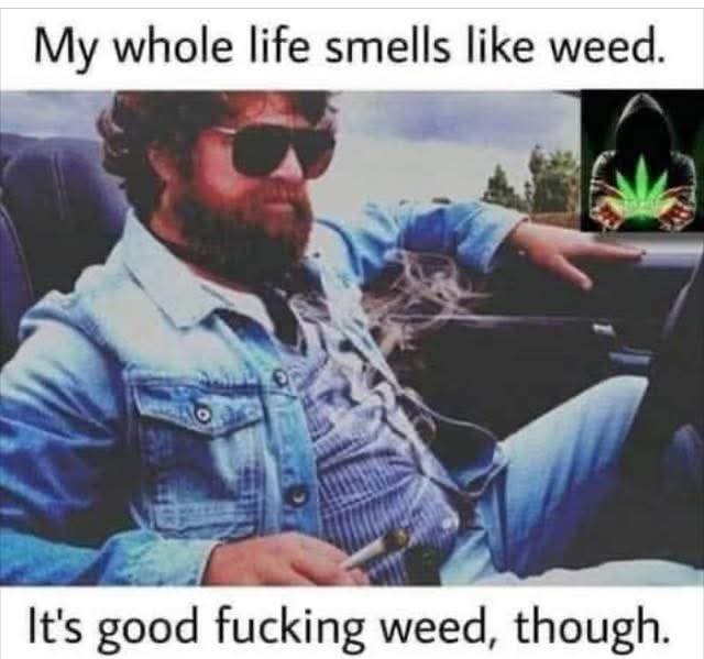 Canna World (@cannaworld4) on Twitter photo 