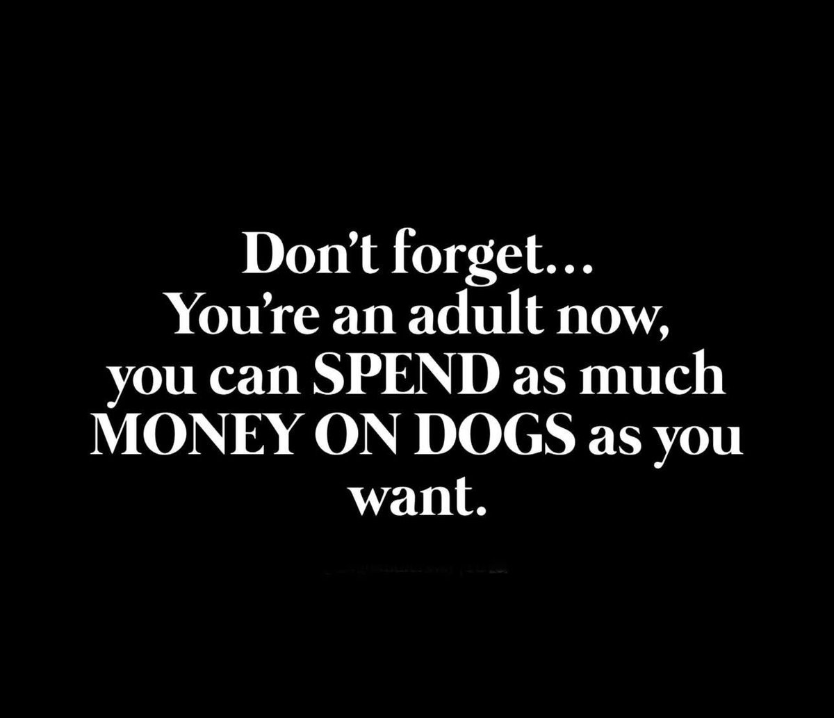 Truth 💯🐶

Why spend on boring stuff when you can spoil your pup with bandanas, toys &amp; treats? 💙

👉 barkandbeyondsupply.com

#dogsofx #dogsoftwitter #Wednesday #shopsmall #smallbusinessowners