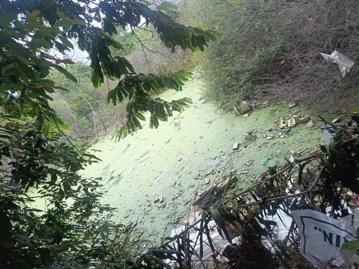 These are the scary pics of the area which has not been seen by any local authority!  People are staying with family in this mess with risk of  health issues #wagholi #पुणे #Pune
<a href="/CPCB_OFFICIAL/">Central Pollution Control Board</a> <a href="/byadavbjp/">Bhupender Yadav</a> <a href="/KVSinghMPGonda/">Kirti Vardhan Singh</a>