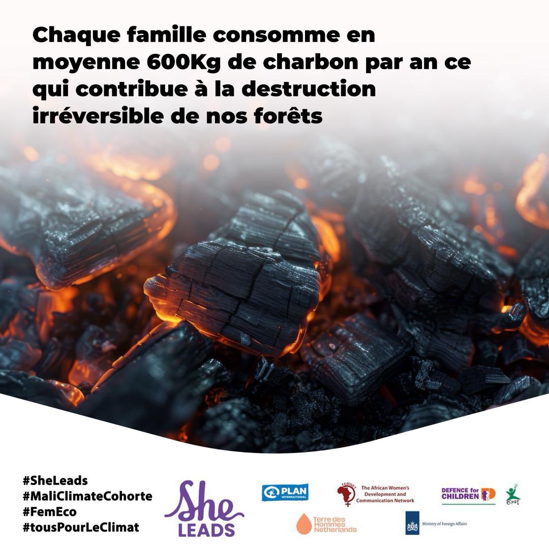 Penda_ty's tweet photo. 🔥 Chaque famille consomme en moyenne 600 kg de charbon par an.
Un chiffre alarmant qui contribue à la destruction irréversible de nos forêts, mettant en péril notre environnement et notre avenir collectif. 🌍🌱

#SheLeads
 #MaliClimateCohorte
 #FemEco
 #TousPourLeClimat https://t.co/vbyGfVk7EE