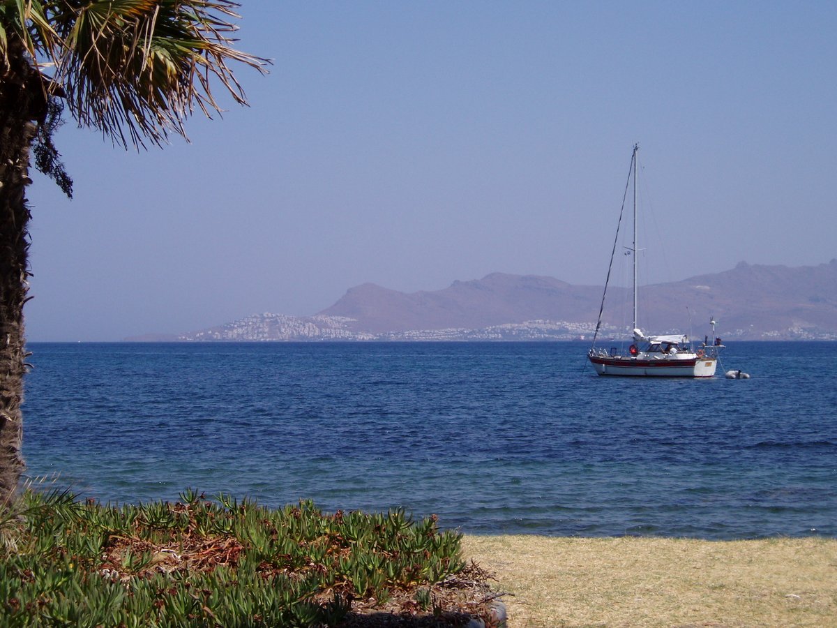 StephanieWoodGR's tweet image. Here is a view from #Kos #Greece which I used as one of my covers for the AEGEAN SUN series
☀️🏖️✈️🧳🥰
#holidayideas #bookseries #memoir #funinthesun

amazon.co.uk/dp/B09S81Q4WD