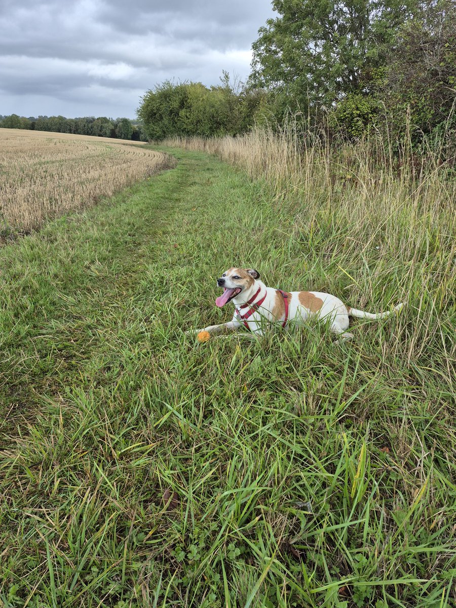 Testing the new camera without editing