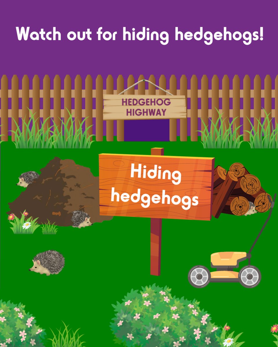 Spike's Food tweet media