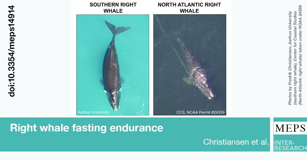 Marine Ecology Progress Series (MEPS) tweet media