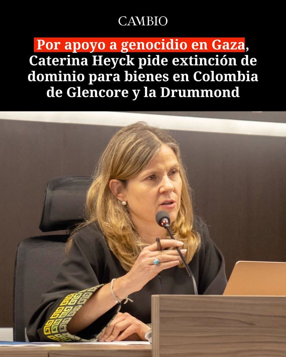 En su condición de ciudadana y no como magistrada de la JEP, Ana Caterina Heyck Puyana presentó una denuncia ante la Fiscalía General para que se inicien acciones de extinción de dominio contra empresas mencionadas en informe de la ONU sobre la ocupación israelí.