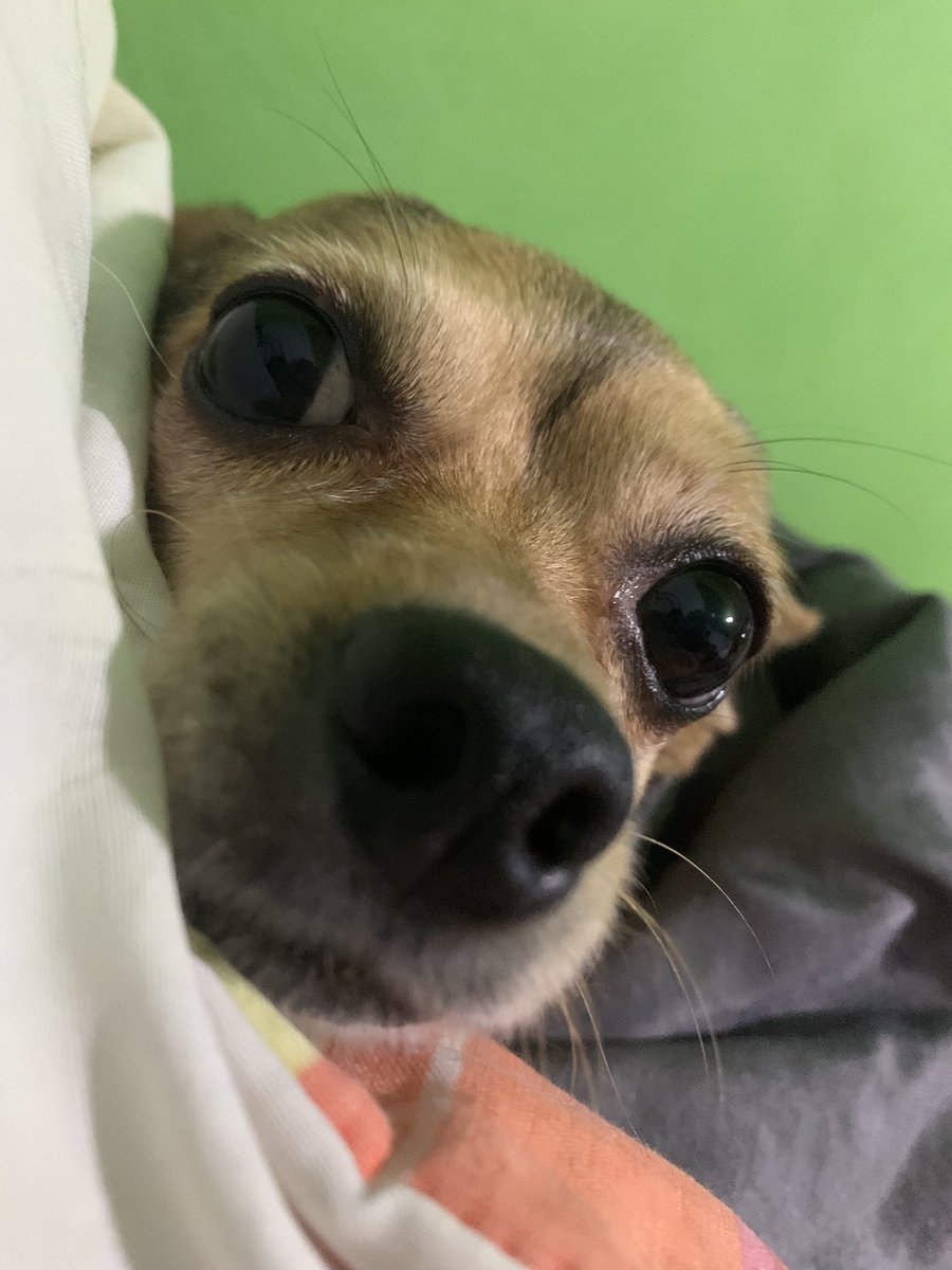 Bonjour à mes amis!

Miércoles provechoso, estupendo y espléndido para cada uno de ustedes, queridos amigos de este nuestro vecindario virtual.

Que nos vaya bonito a todos.

Carpe Diem ✨✨✨🍀